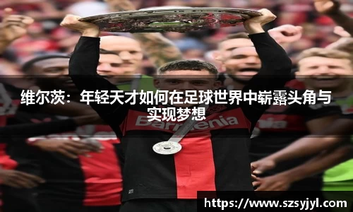 BSports网页版