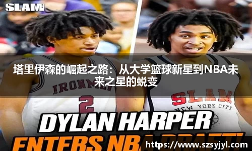 BSports网页版